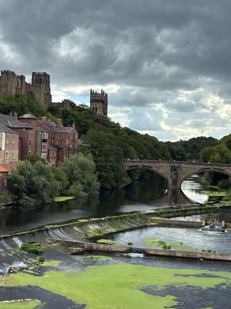 Durham Cathedral, England, and the river Wear covered in algae.