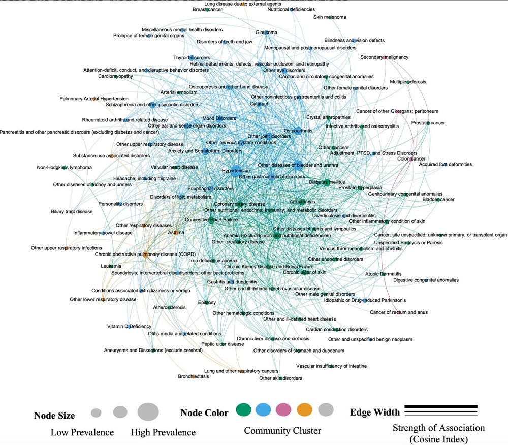 Network depicting all statistically significant (p < αFDR) pairwise associations between chronic health conditions among persons living with dementia and multiple comorbidities who resided in long-term care