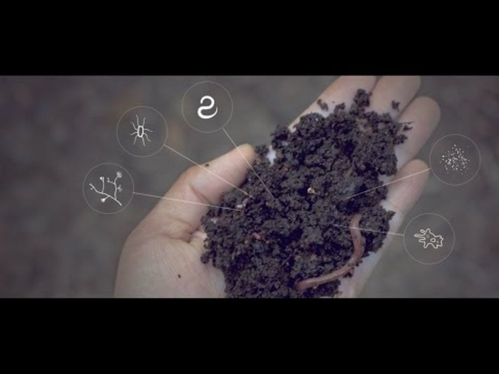 Soil Solutions to Climate Problems - Narrated by Michael Pollan