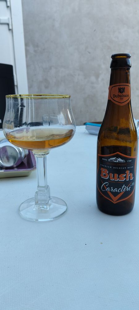 Un verre de bière a côté d'une bouteille de bière Bush