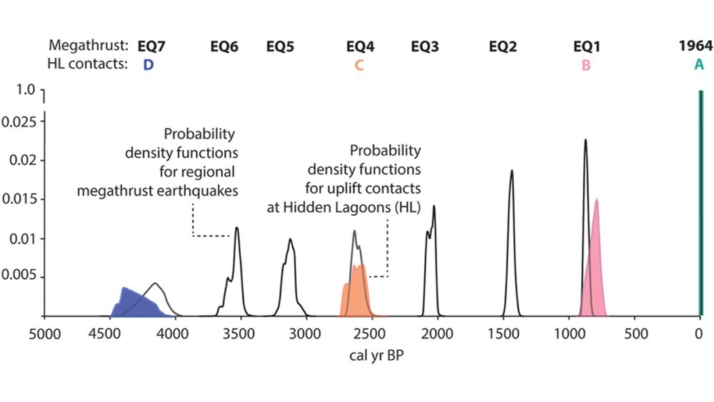 Repeated Coseismic Uplift Above the Patton Bay Splay Fault, Alaska - Eos