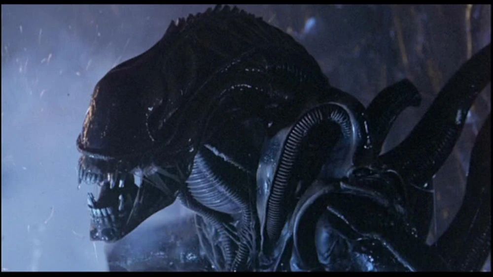 Photo of the Xenomorph alien creature from the Alien movie franchise. Creepy black/gray alien against a light gray smoky background. 