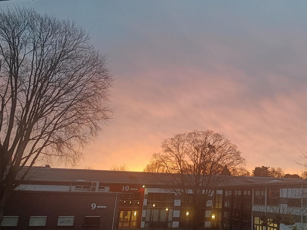 Oranje gekleurde licht met wat lichtgrijs. Achter laag lang bedrijfspand en boomkruinen zonder blad.