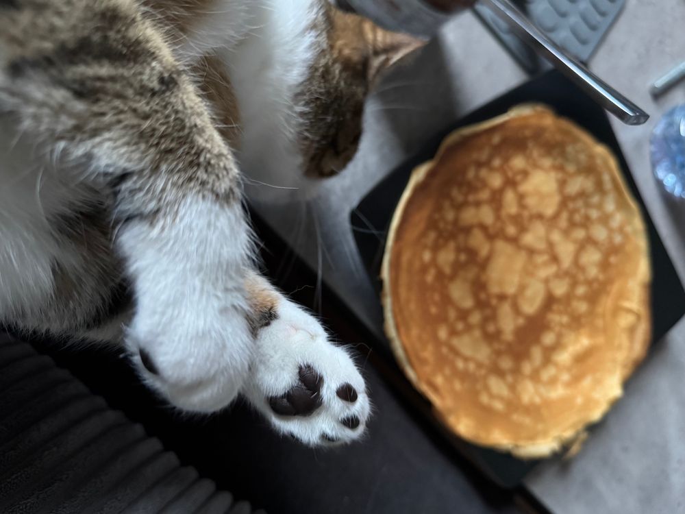 In the foreground the white and gray pastes of nemesis.

In the background, the plate of pancakes
