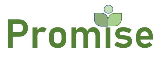 Logo - the word 'promise'