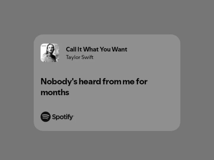 "nobody's heard from me for months" - call it what you want, taylor swift