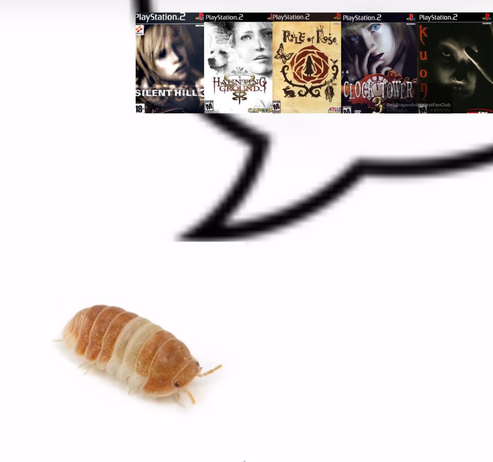 An insect (i apology due i have no idea what species is) thinking about some PS2 horror games, aka: Silent Hill 3, Haunting Ground, Rule of Rose, Clock Tower 3 and Kuon.