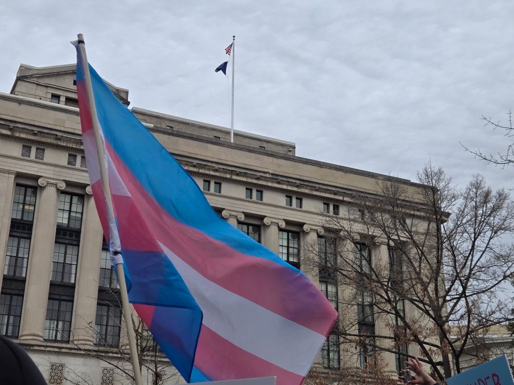 Transgender flag waves below the US and virginia flags on top of a government building
