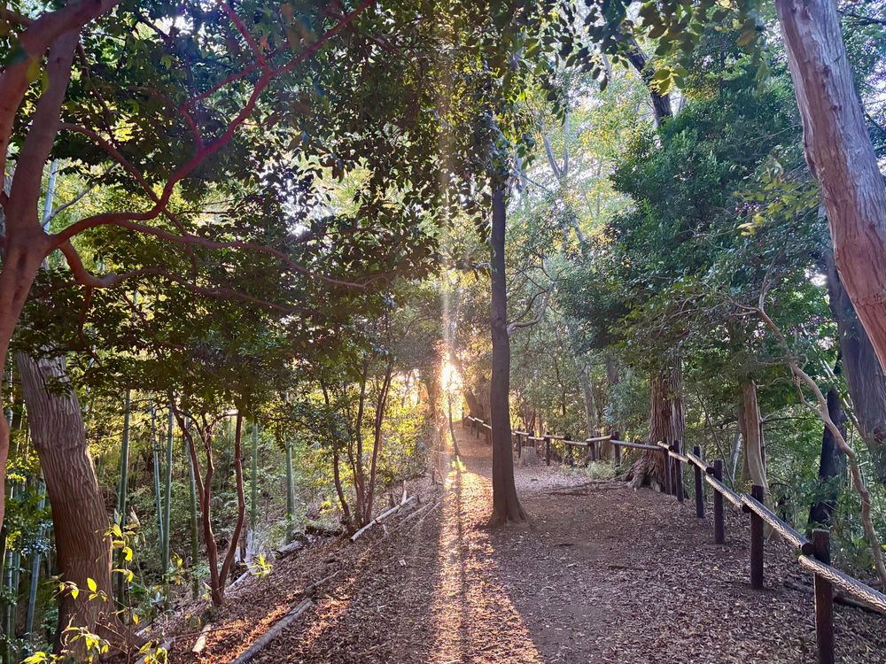 注：横浜市です