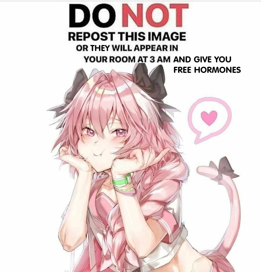 photo of astolfo with squished cheeks staring at the viewer, and a heart bubble behind. text above says "do not repost this image or they will appear in your room at 3 am and give you free hormones"