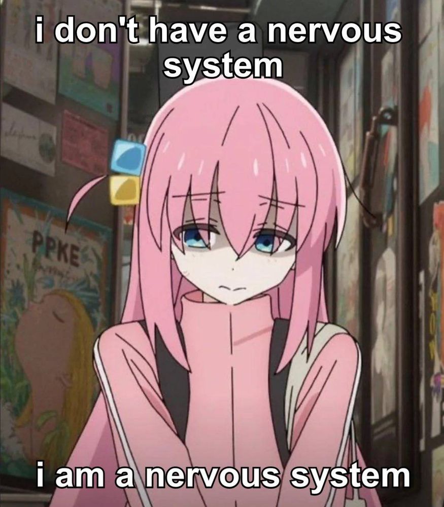 anime photo of pink haired bocchi from bocchi the wrong looking down shy and nervous, overlying text says "i dont have a nervous system, i am a nervous system"