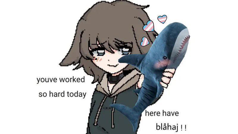 girl holding a blahaj out saying "youve worked so hard today, her have a blahaj!!"