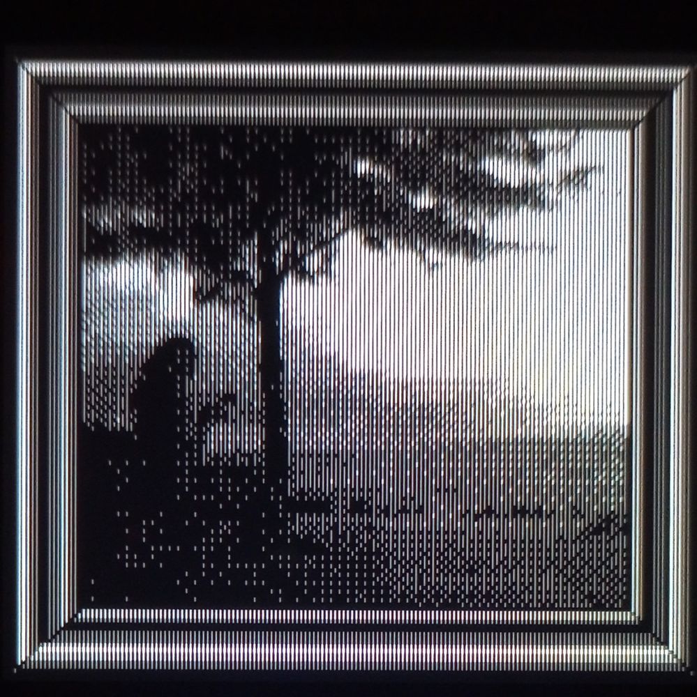 Wife on a bench by a tree overlooking the lake