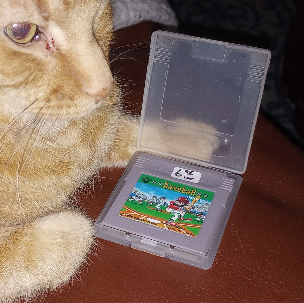 Baseball (JPN) for Nintendo Game Boy
and a cat