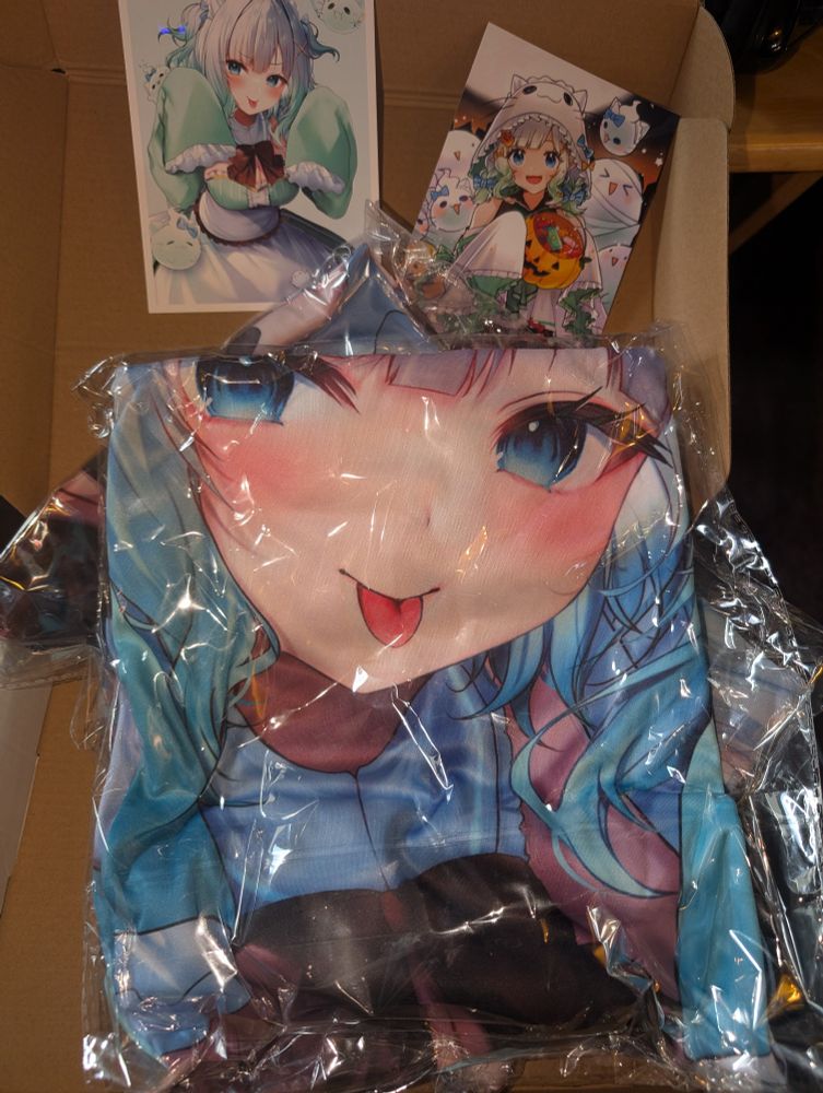 A cardboard box parcel opened containing clothing and paper memorabilia featuring the VTuber Maid Minto Fantome