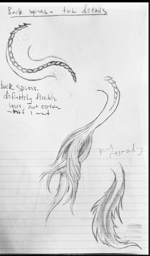 A sketchbook page of different dragon tail variations. There are notes like "kinda mermaid-y"