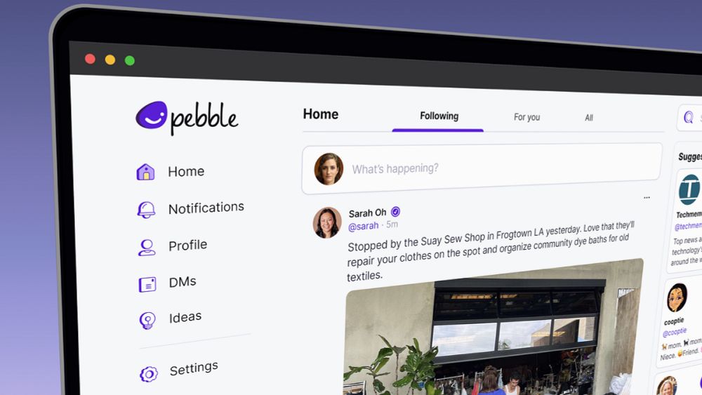 From T2 to Pebble: The Rise, Challenges, and Lessons of Building a Twitter Alternative