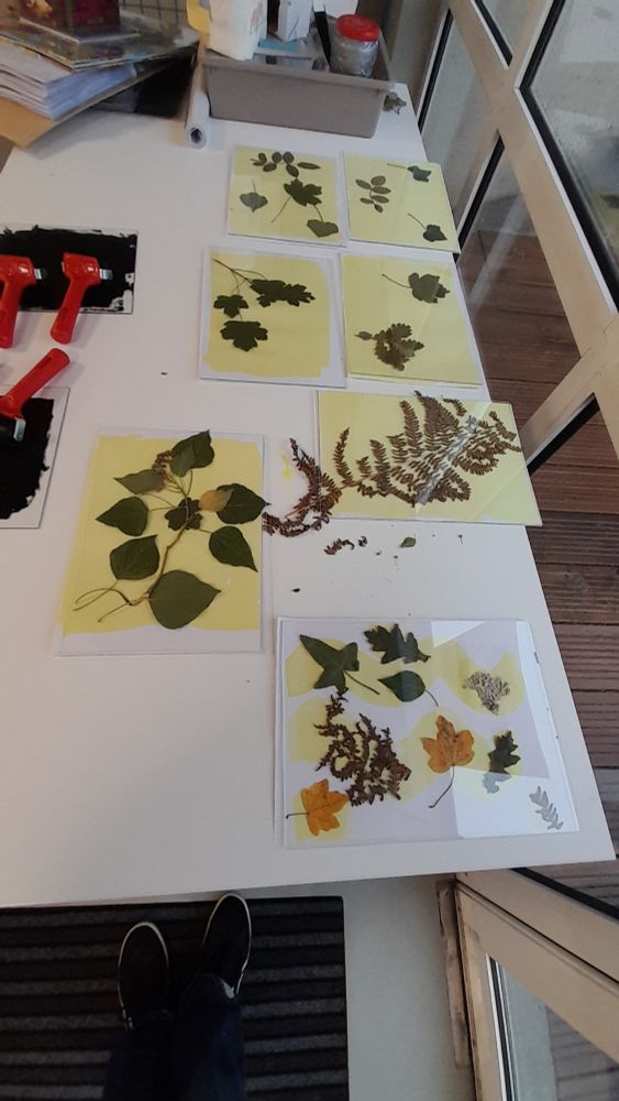 Des cyanotypes en train de prendre la lumière inexistante.