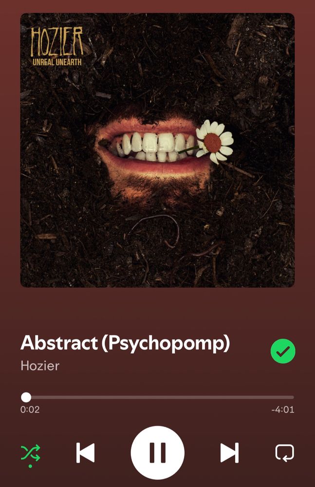 screenshot de abstract(psychopomp) do hozier no spotify