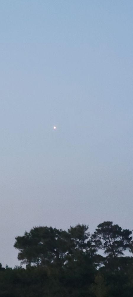 Little bright light in the sky (booster coming back down)