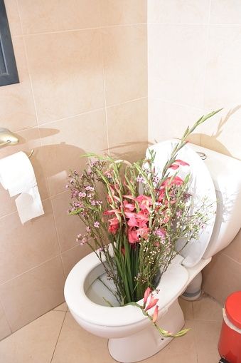 Toilet full of flowers 