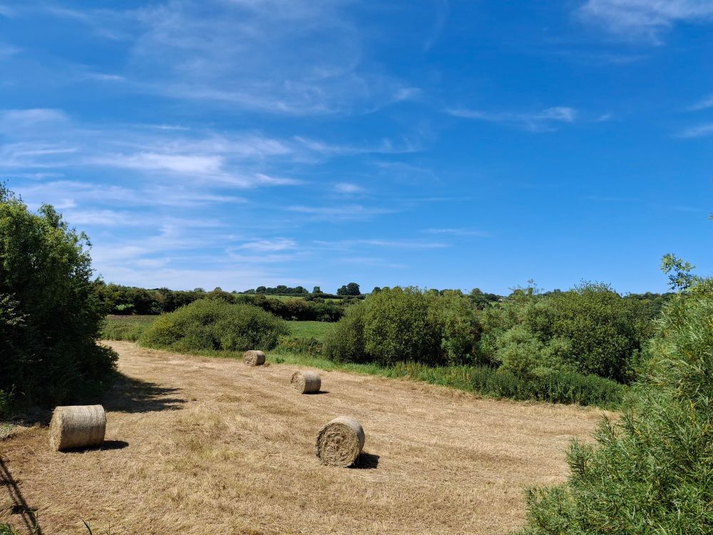 I have no idea where I am but it's somewhere near Newgrange