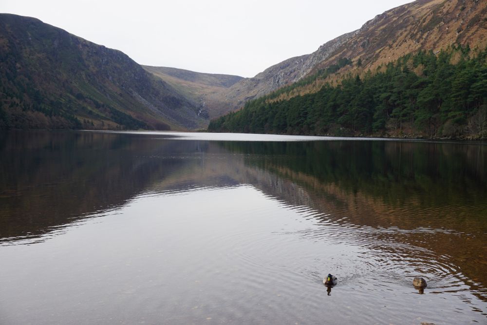 Upper Glendalough Lake, Wickow Mountains, Ireland.