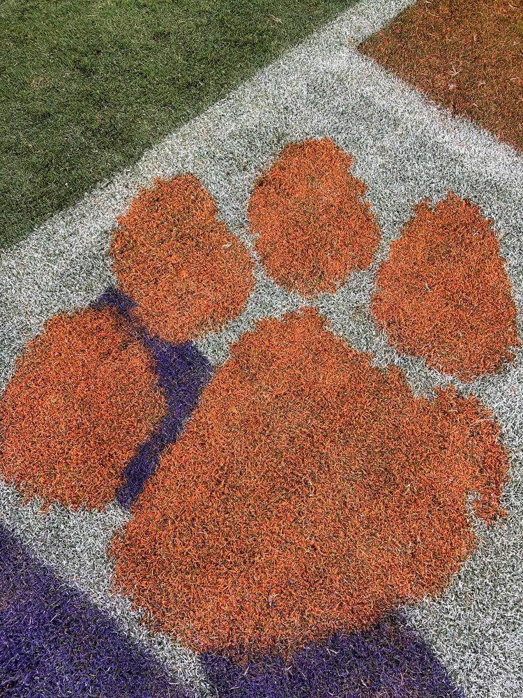 Photo of Clemson paw taken on the field of Memorial Stadium.