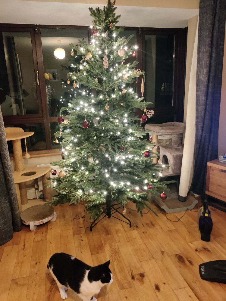 A lit up and decorated Xmas tree