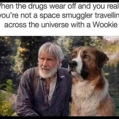 man with beard with St Bernard dog