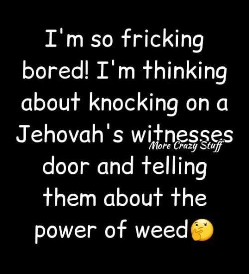 white text, black background
I'm so flicking board! I'm thinking about knocking on a Jehovah's witnesses door and telling them about the power of weed