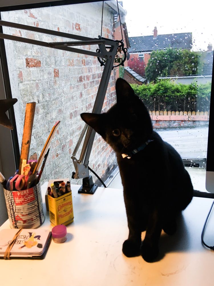A photo of Kips black cat Spencer as a kitten. He has massive ears and paws and a tiny head and body. He is sitting on Kips drawing desk looking cute. 