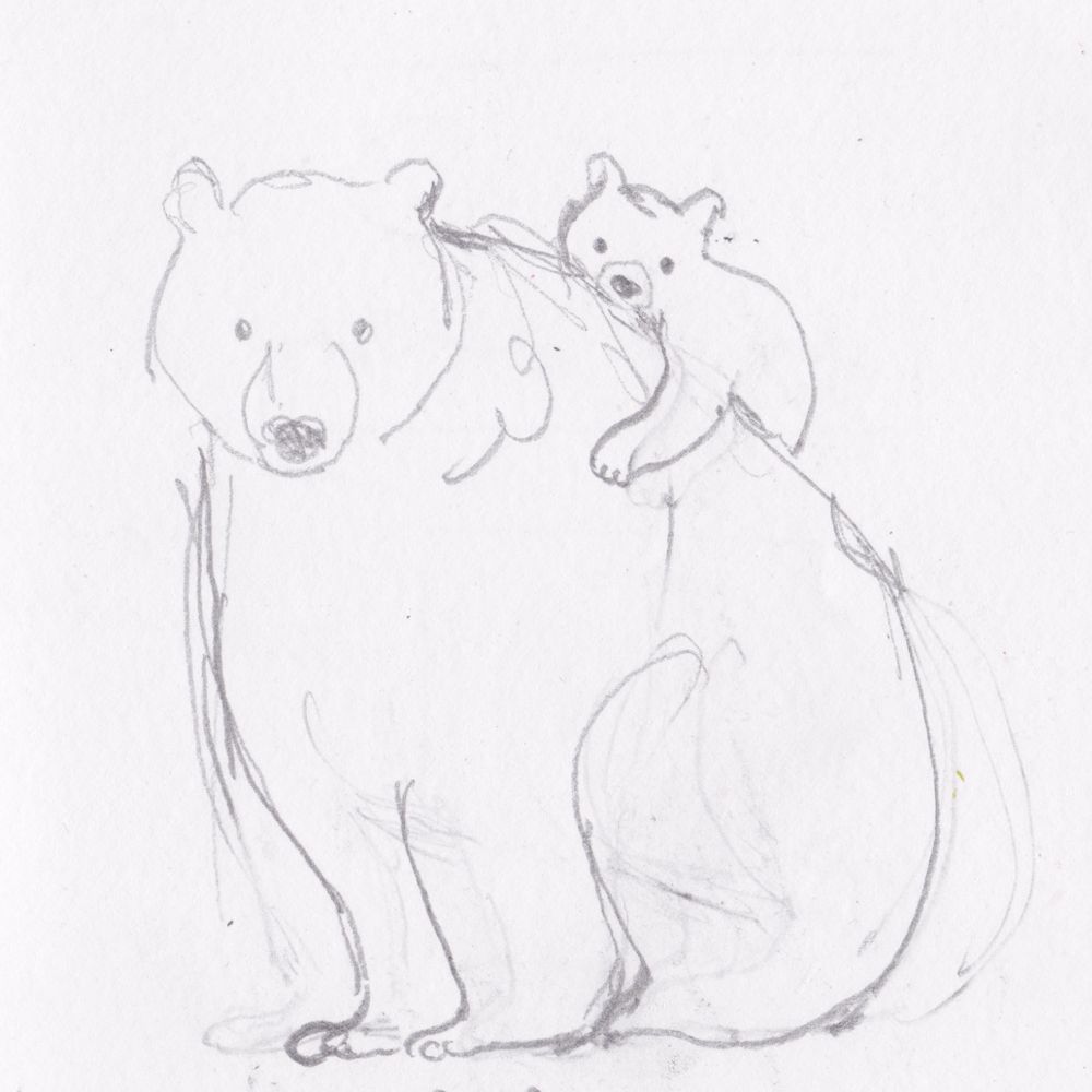 A sketch by kip alizadeh of a grown up bear carrying a baby bear on their back