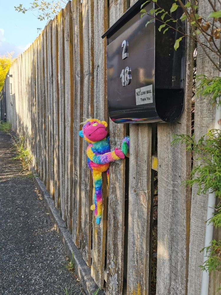 rainbow teddy tied to a fence