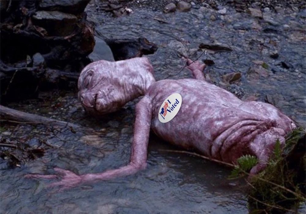 Screenshot from the movie E.T. Where the alien is ill, and laying in a creek bed. An “I voted” sticker is ‘shopped on him