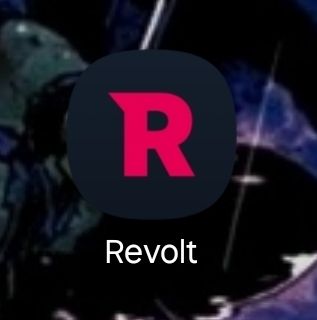 Revolt, a Discord alternative 
