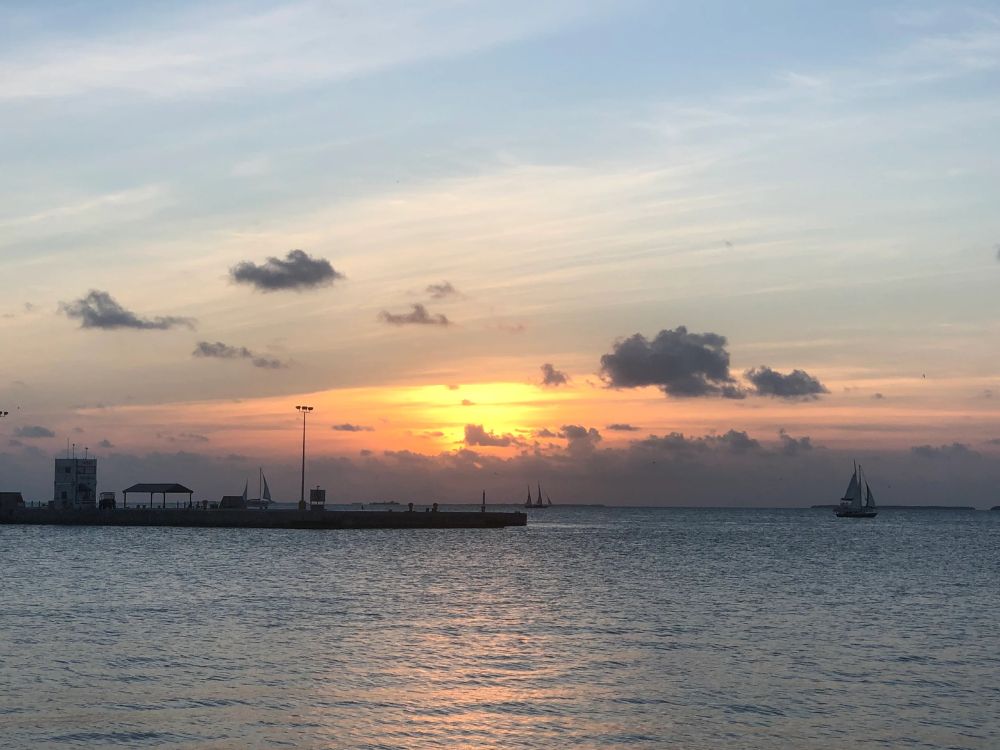 Erika Heffernan, an exceptionally gifted artist, has crafted a remarkable masterpiece titled "Sunset 1" which elegantly encapsulates the enchanting beauty of Key West and the Florida Keys. The vibrant hues and intricate details within this artwork beautifully convey the essence and charm of this stunning locale. A picturesque sunset paints the sky with hues of orange, pink, and purple, casting a warm glow over the calm ocean waters.  The sun, obscured by clouds, creates a radiant halo in the sky, while wispy clouds drift gracefully overhead.  Silhouetted against the vibrant backdrop, a lone sailboat glides across the water, its sails billowing gently in the evening breeze.  A small pier juts out into the water, adding a touch of human presence to the serene scene.  The tranquil waters of the ocean shimmer with the reflection of the setting sun, creating a mesmerizing display of light and color.  This image captures the essence of a peaceful and awe-inspiring sunset over the ocean, a moment of serenity and beauty that leaves a lasting impression. 
