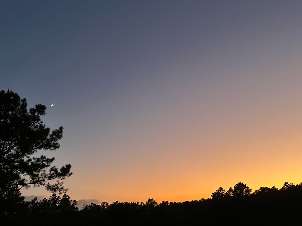 Sun setting over a tree line with a small view of the moon