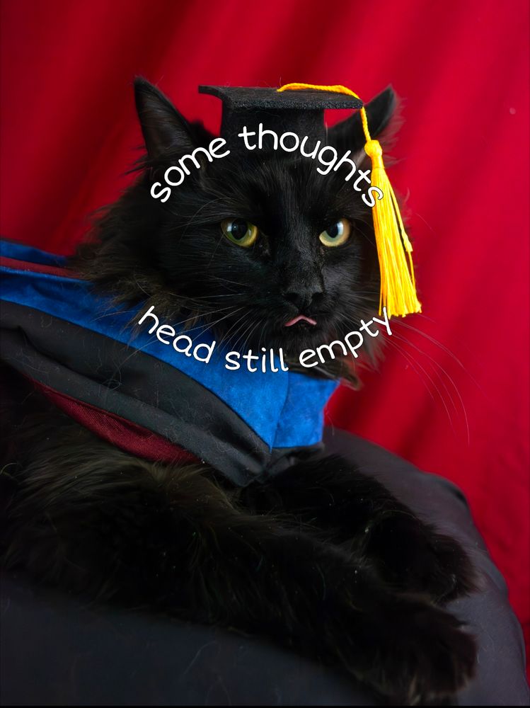 The same cat, now older, dressed in cat sized doctoral regalia. She has on a traditional graduation cap with gold tassel, and a blue humanities doctoral hood. She is glaring at the camera and her tongue is sticking out in a goofy little expression. Curving around her head in comic sans like font is the caption "some thoughts head still empty"