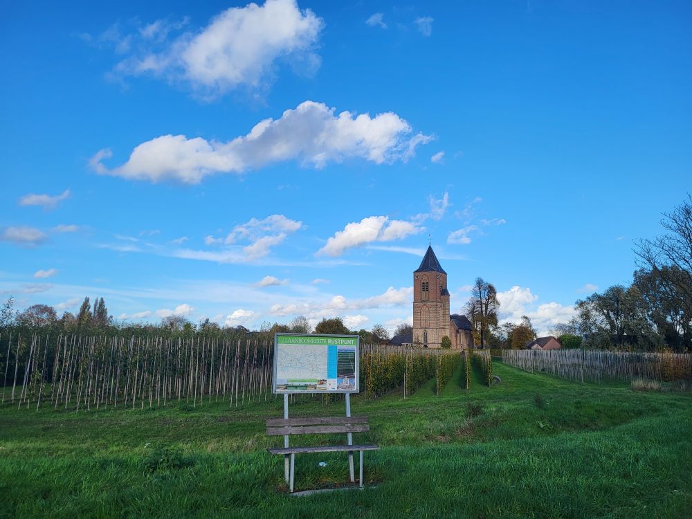 Een fruitboomgaard en groen gras op de voorgrond, een kerktoren steekt af tegen de lichtblauwe lucht met een enkel wit wolkje