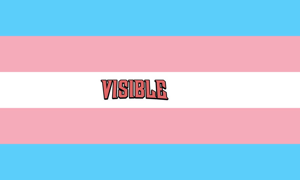 A trans flag with the text "VISIBLE" in the middle white stripe, the text is in white and in the style of the title card of the series called "INVINCIBLE"