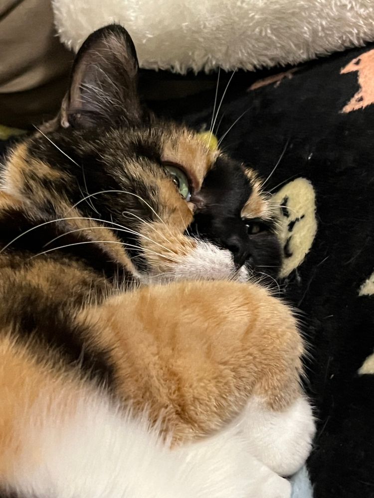 A closer shot of Lizzie’s face; her green eyes stare off into the distance