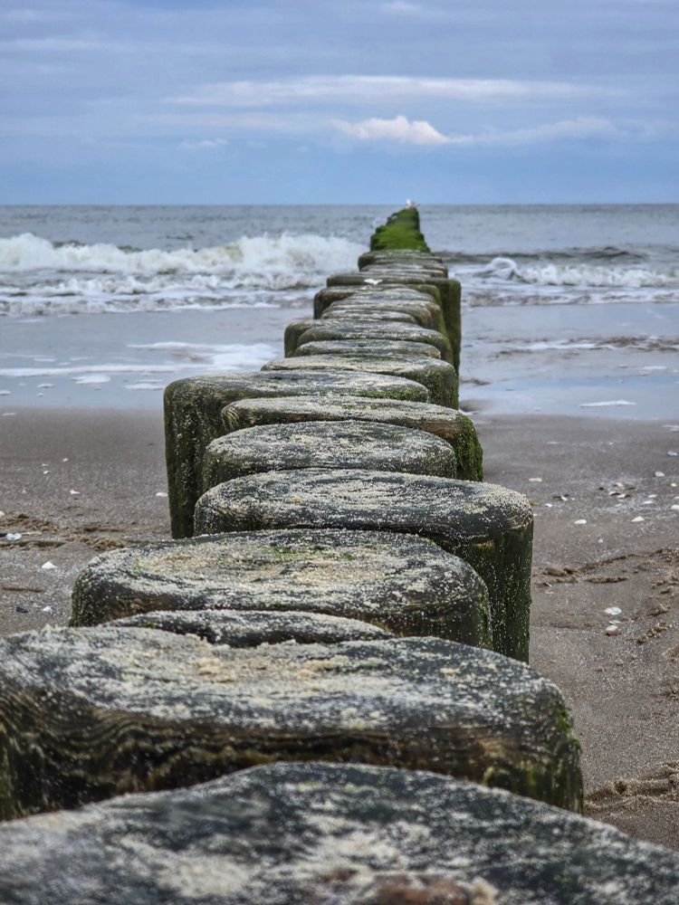 Holzbohlen mittig im Bild ragen bis weit in die Ostsee hinein. Rechts und links ist der Strand zu sehen und im Hintergrund die Ostsee mit Wellen. Der Himmel ist bewölkt 