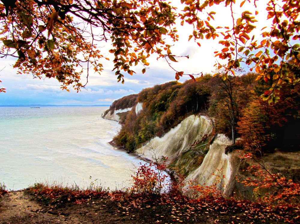 A view from a higher path overlooking the Baltic Sea to the left and the chalk cliffs to the right. Trees grow on the chalk cliffs, their leaves now turning autumnal brown and yellow. Branches with yellow-brown and partly green leaves extend into the picture on both sides. The sun is shining and the sky is lightly clouded.