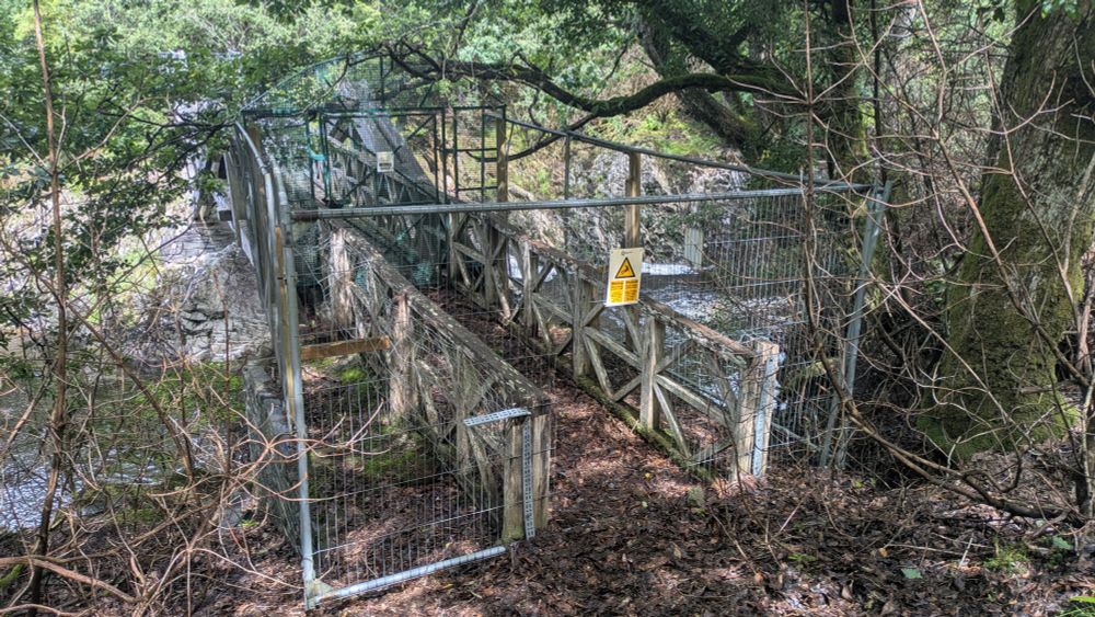 A footbridge, fenced off and overgrown.