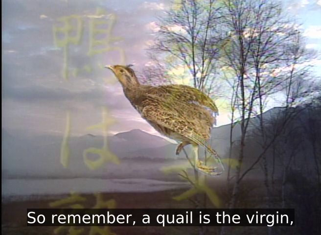 Frame #17550 from S05 -E10 - Battle Quail-629268
