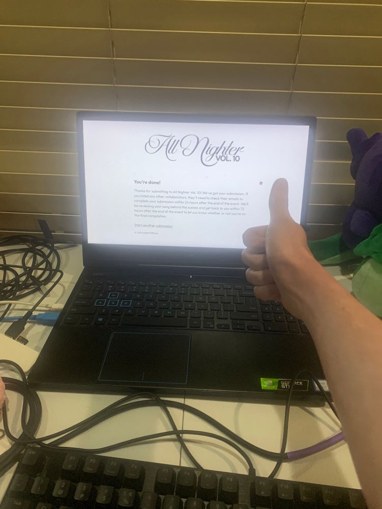 A thumbs up in front of the FORM All Nighter Volume 10 Submission Complete screen
(The thumbs up is my own)