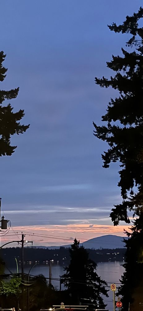 Looking ssw into Semiahmoo bay and Blaine Wa. Tall fir trees on either side with pink sky bottom grey clouds on top.  