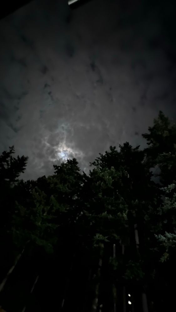 Moon through heavy clouds with fir trees reaching towards sky
