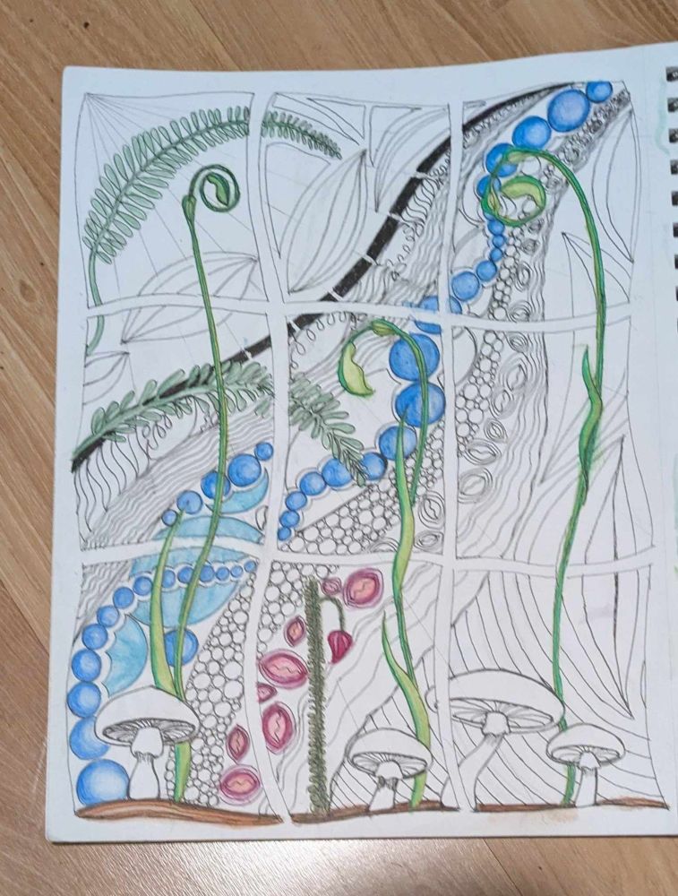 doodle art: line art with some color added. River bed with bubbles and stones, ferns on one side, mushrooms at the bottom. curvy lines fill in much of the blank space.